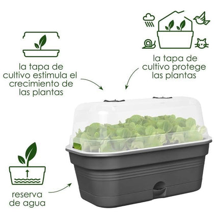 elho Green Basics Grow Tray All in 1 32 - Growing set - 100% recycled plastic - Ø 32.0 x H 13.2 cm - Green/Leaf green