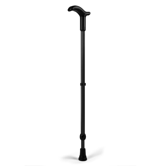 Rebotec Simplex walking stick with Fritz handle