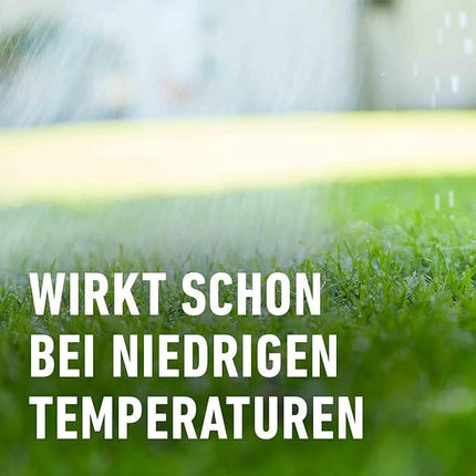 COMPO lawn fertilizer with long-term effect - No chance for moss and weeds - 1.5 kg for 60 m² - COMPO Lawn Long-Term Fertilizer Perfect