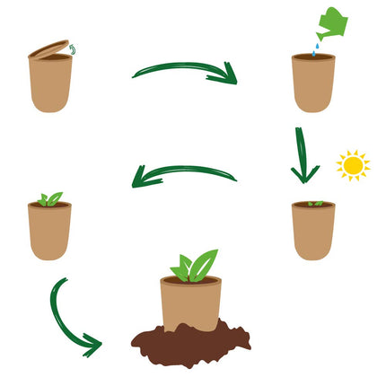 Feel Green Ecocan, Lucky Clover, Sustainable Gift Idea (100% Eco Friendly), Grow Your Own/Growing Kit, The Growing Eco-Can, Made in Austria