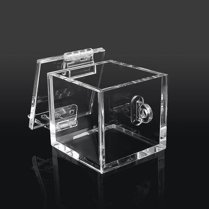 MFMYEE BDSM Chastity Cage Key Safe, Transparent Chastity Keychain, Chastity Game Acrylic Box, Multifunctional New Sexy Toys, Anti-Cheating Lock (Transparent)