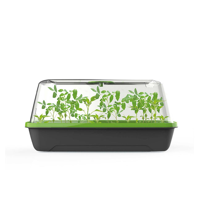 Romberg BoQube M | Indoor greenhouse with ventilation | Watering hole | Optimal microclimate and space for 18 seed pellets | 37 x 19 x 18 cm | Anthracite
