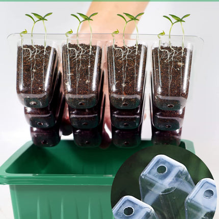 TOYPOPOR 12 Pack Indoor Greenhouse Propagator, 144 Mini Greenhouse Propagation Set with Raised Lid, Reusable Propagation Tray, Seedling Starter Trays for Seedlings - Green