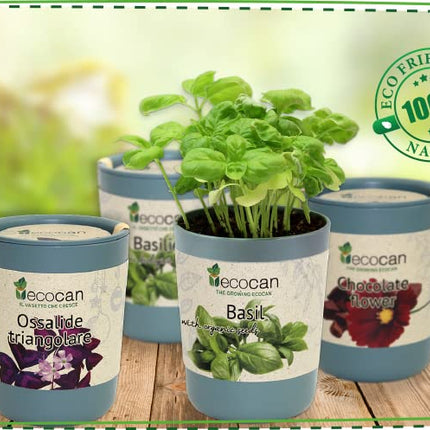 Feel Green Ecocan, Lucky Clover, Sustainable Gift Idea (100% Eco Friendly), Grow Your Own/Growing Kit, The Growing Eco-Can, Made in Austria