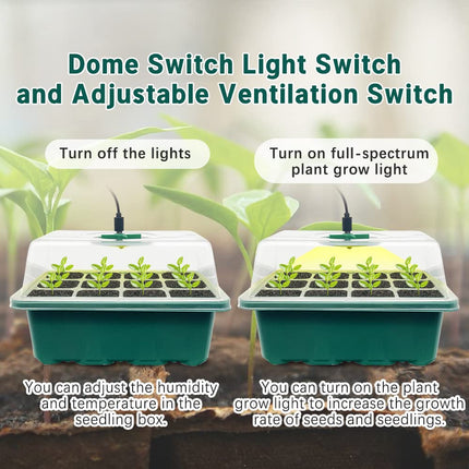 CKLHCFF Indoor Greenhouse Propagator 3 Pack, Mini Greenhouse Propagation Set with Plant Lamp, Seedling Starter Trays with Lid and Ventilation (Rectangle)