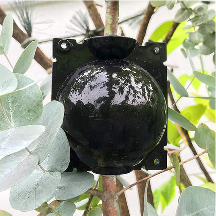 Ianulus Plant Rooting Ball, 4 Pieces Plant Root Growing Box, Plant Rooting Device, Plant Root Booster Device for Plant Transplantation, Root Formation, Asexual Reproduction (Black)
