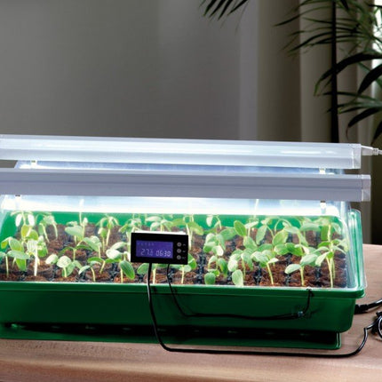 ROMBERG Indoor Greenhouse with Two Lamps, Thermodog and Thermostat – Mini Greenhouse Maximus Complete – 57 x 38 x 18 cm