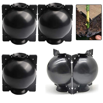 Ianulus Plant Rooting Ball, 4 Pieces Plant Root Growing Box, Plant Rooting Device, Plant Root Booster Device for Plant Transplantation, Root Formation, Asexual Reproduction (Black)