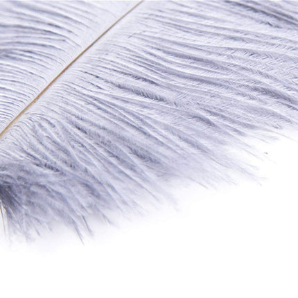 Canarea feather erotic SM feather tickler massage bondage cosplay sex toy fetish caressing friend pampering feather pompom for adults