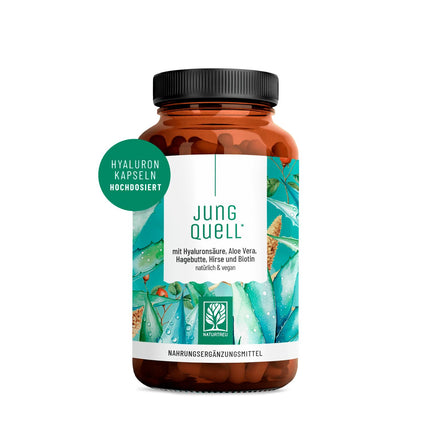 NATURTREU® Hyaluron Capsules with 500 mg of high-dose hyaluronic acid with aloe vera, biotin &amp; vitamin C - 90 Capsules for skin* and joints** - Natural and vegan