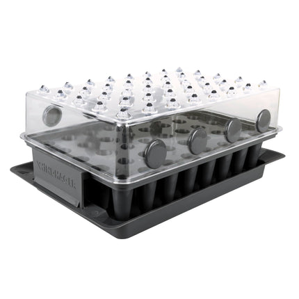 Windhager RootXtender Root Trainer, Indoor Greenhouse for 40 Plants, Root School Seed Tray, Root Trainer Seed Box for Best Root Formation