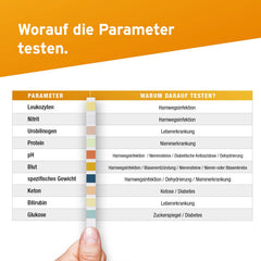 100 x Aydmed Urinalysis Test Strips 10 Parameter Urine Test Strips for Leukocytes, Nitrite, Urobilinogen, Protein, pH, Blood, Specific Gravity, Ketone, Bilirubin and Glucose