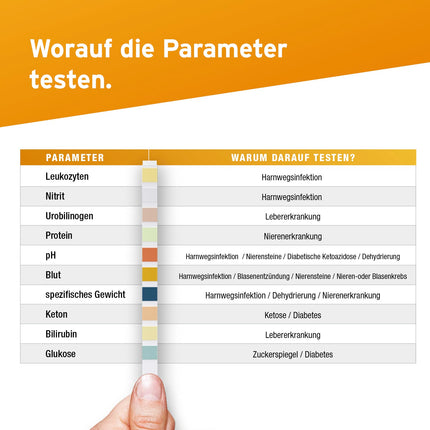 100 x Aydmed Urinalysis Test Strips 10 Parameter Urine Test Strips for Leukocytes, Nitrite, Urobilinogen, Protein, pH, Blood, Specific Gravity, Ketone, Bilirubin and Glucose
