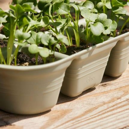 elho Green Basics Grow Tray Set - Grow Box for Plants - Seedling Tray - 100% Recycled Plastic - Green/Leaf Green