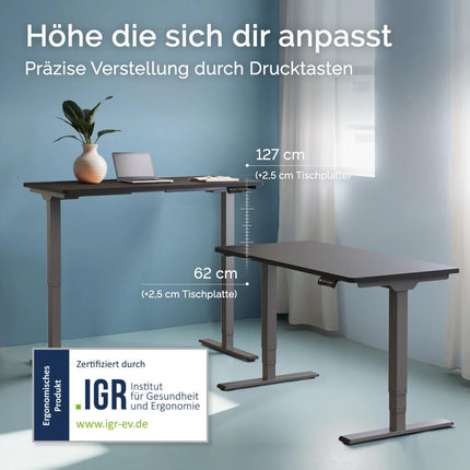 DESKSPACE PRO Plus Height-Adjustable Gray Frame | Dual-Motor Height-Adjustable Desk Frame | Electric Desk Frame with Memory Function