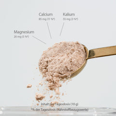 Acacia Fiber Powder Organic - 500 g - 80% Fiber Content - 50 Day Supply - Organically Certified &amp; Naturally Pure - No Additives