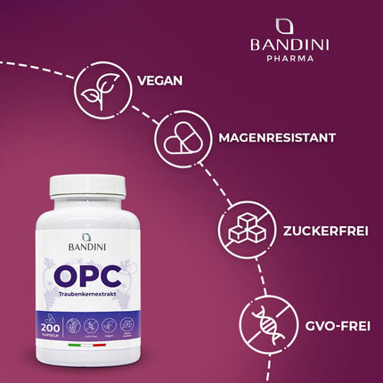 Bandini® Grape Seed Extract 200 Capsules for 3 Months | Highly Dosed with 95% OPC per Capsule | Highest Content According to HPLC | From Italian Grapes | 1052mg Extract with 999.4mg OPC + 24mg Vitamin C