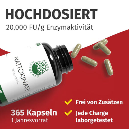 Nattokinase 20,000 FU/g - 100 mg per capsule - 1-year supply (365 capsules) - Fermented soybean extract - Pharmacy quality - Green Naturals®
