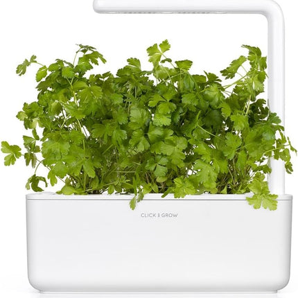 Click and Grow Parsley Plant Pod Refill Pack Substrate Capsule Plant Capsules Smart Garden Indoor Garden 3-pack
