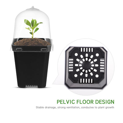 Mini Flower Pot Growing Pots With Dome: 10 Pieces Indoor Greenhouse Growing Set Dome Plants Plant Pots Windowsill Greenhouse Plastic Growing Trays Plant Pot for Plants