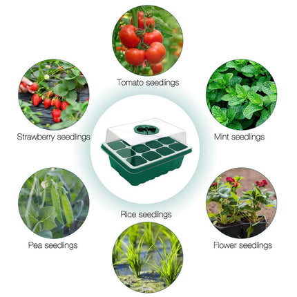 HRKVSK Mini Greenhouse Cultivation, 10 Pieces 120 Cells Indoor Greenhouse Cultivation Box, Plant Cultivation Set with Lid, Cultivation Box with 10 Labels 2 Tools for Seedling Plant