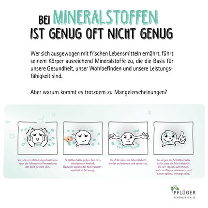 PFLÜGER Schüßler Salts No. 11 Silicea D12 - 400 tablets - The salt of hair, skin, and connective tissue - gluten-free