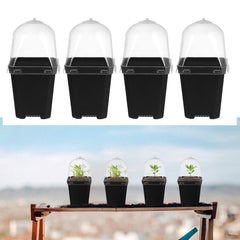 Mini Flower Pot Growing Pots With Dome: 10 Pieces Indoor Greenhouse Growing Set Dome Plants Plant Pots Windowsill Greenhouse Plastic Growing Trays Plant Pot for Plants