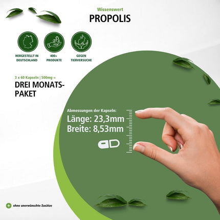 Fairvital | Bee Propolis 500mg - 3 x 60 Capsules - HIGH DOSE