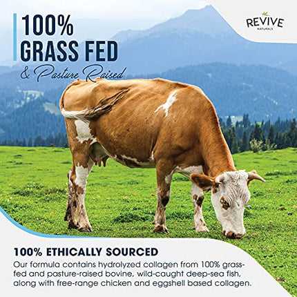 Revive Naturals Multi-Collagen Protein Powder - Types I, II, III, V &amp; X - Hydrolyzed Grass-Fed Beef, Wild-Caught Fish and Free-Range Chicken, Unflavored, Halal - (400g), Powder