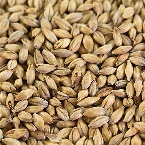 1 kg Pale Ale malt for lagers and ales EBC 5.5-7.5