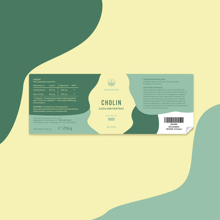 Choline Capsules - 360 Capsules - Choline Bitartrate - *Liver Health, Homocysteine ​​&amp; Lipid Metabolism (EFSA) - Vegan, German Production - TRUE NATURE®