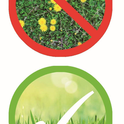 Substral 3 in 1 Complete Lawn Fertilizer with Weed Killer and Moss Killer, 14 kg for 400 m², Green