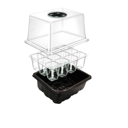 Small indoor greenhouse with 12 cells of 3.5 x 3.5 cm² for growing plants indoors, on windowsills, balconies, or terraces. A growing box ideal for fast-growing seedlings (black)