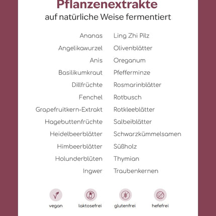 Prof. Grönemeyer's Essentials "Intestine and Digestion" – intestinal treatment, intestinal cleansing &amp; intestinal reconstruction with 30 billion intestinal bacteria, from fermented herbs &amp; plant extracts