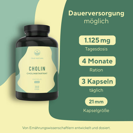 Choline Capsules - 360 Capsules - Choline Bitartrate - *Liver Health, Homocysteine ​​&amp; Lipid Metabolism (EFSA) - Vegan, German Production - TRUE NATURE®