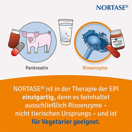 Nortase capsules