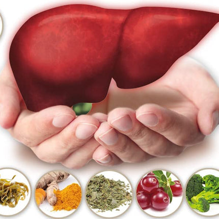 Hepaphenol - Manages Cholesterol Levels - Protects Us From Diabetes - Controls Our Energy - Protects Us From Diseases - 4 packs every 4 months