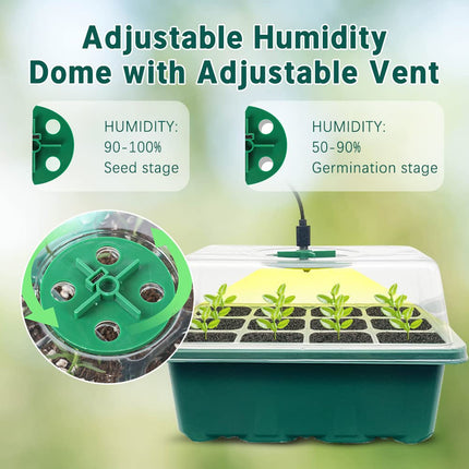 CKLHCFF Indoor Greenhouse Propagator 3 Pack, Mini Greenhouse Propagation Set with Plant Lamp, Seedling Starter Trays with Lid and Ventilation (Rectangle)
