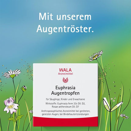 Wala Euphrasia Eye Drops EDO, 10 pcs.