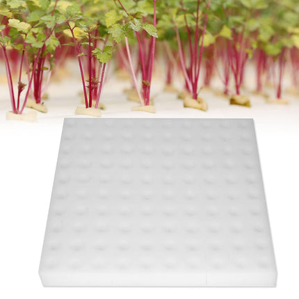 Haofy Vegetable Growing Gardening Tools, 100 Pieces Hydroponic Sponge Plant Gardening Tool Square Seedling Sponges for Greenhouse