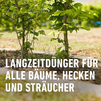 COMPO Trees, Hedges, Shrubs Long-Term Fertilizer, Environmentally Friendly Formula, 6 Months Long-Term Effect, 2 kg, For 40 Meters of Hedge