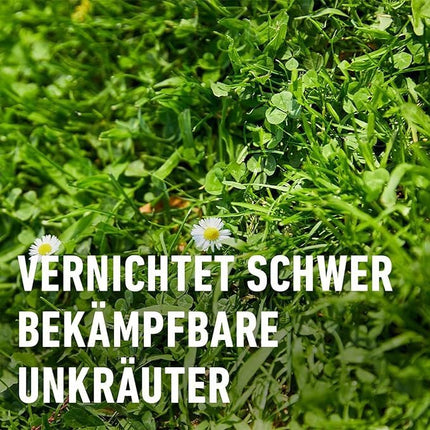 COMPO Lawn Weed Killer Banvel Quattro, Control of difficult-to-control weeds in lawns, concentrate, 400 ml (400 m²)