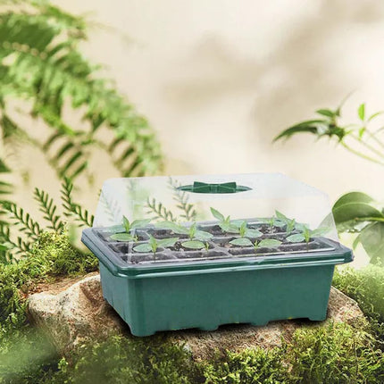Meijunter Indoor Greenhouse Propagator 6pcs 72 Cells Mini Plant Greenhouse Indoor Greenhouse Seedling Hole Breathable Seed Grower Transparent Cover Nursery Box