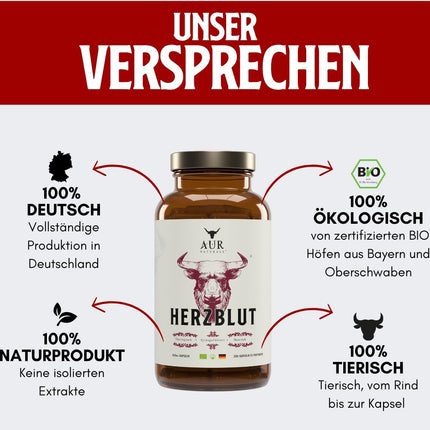 HERZBLUT (90 Capsules) - Powerful synergy for athletes from Beefheart &amp; Beefliver; for energy; performance; blood formation; iron metabolism; 100% German, natural &amp; organic