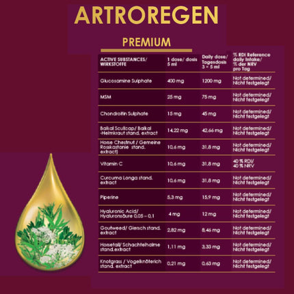 Green idea - Artroregen - Glucosamine-Chondroitin-MSM - Intensive Joint Complex - 100% Natural Syrup - Joint Nutrition - Cartilage Protector with Hylauron, MSM - Sports Nutrition - 500 ml