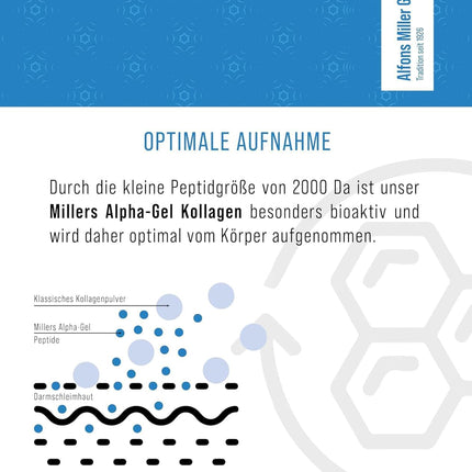 100% pure collagen powder – collagen peptides – collagen protein – Millers Alpha-Gel 1000 g – no additives – tasteless – collagen powder made in Germany