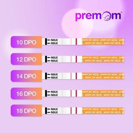 Premom 30 x Pregnancy Test Early Test Ultra-sensitive early pregnancy test: Pregnancy Test 10 mIU/ml - Early detection of pregnancy in 3 minutes - Value pack 30 SST early test