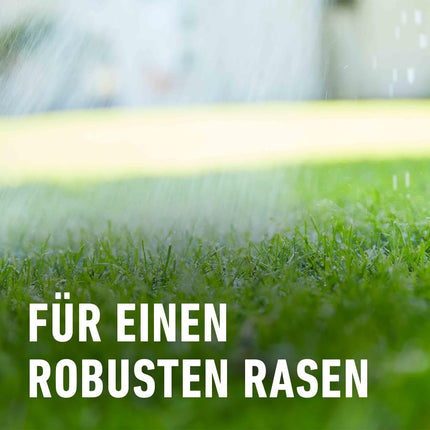 COMPO lawn fertilizer with 3 months of long-term effect for spring and summer - animal-friendly - premium lawn long-term fertilizer - 20 kg for 800 m²