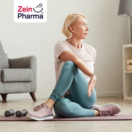 ZeinPharma Chondroitin Capsules 500 mg (90 Capsules) – Food supplement without additives, organic, for your joints, laboratory-tested