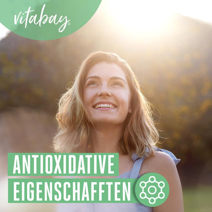 Vitabay Sage Extract 1900 mg - 90 VEGAN Sage Capsules High Dosage - Tablets from leaf extract (Salvia officinalis, 2% essential oils) - Capsules as extract 10:1